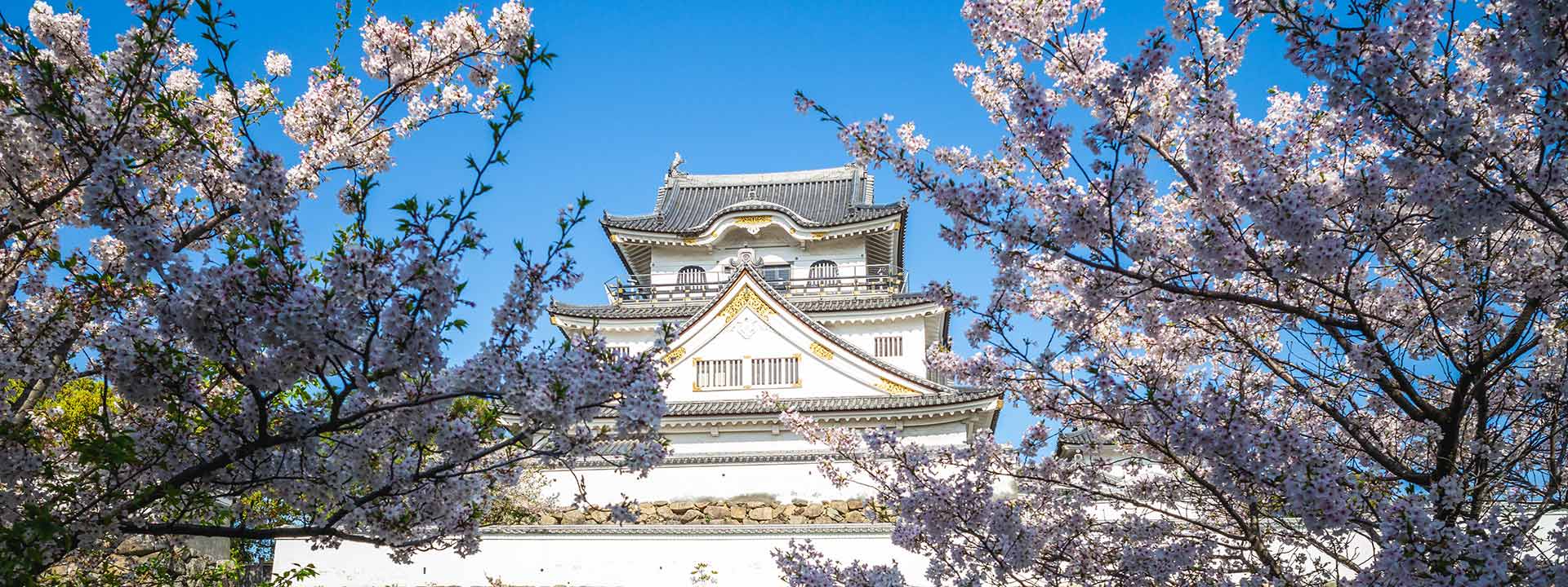 Kishiwada City