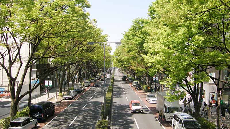 Omotesando