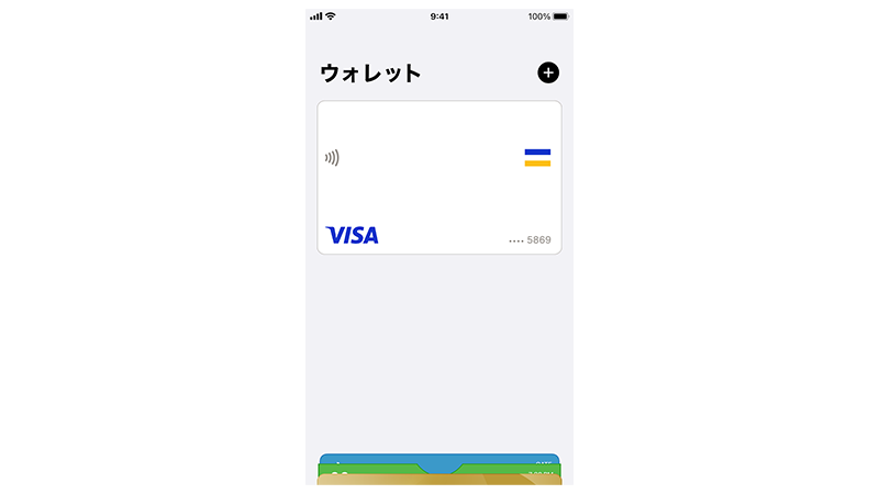 iPhone Visa Card
