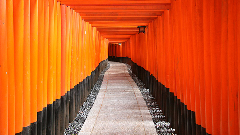 kyoto-fushimi-01-800-450 kyoto-fushimi-01-800-450