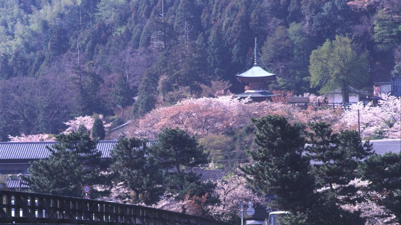 kyoto-nishikyo-01-800-450 kyoto-nishikyo-01-800-450